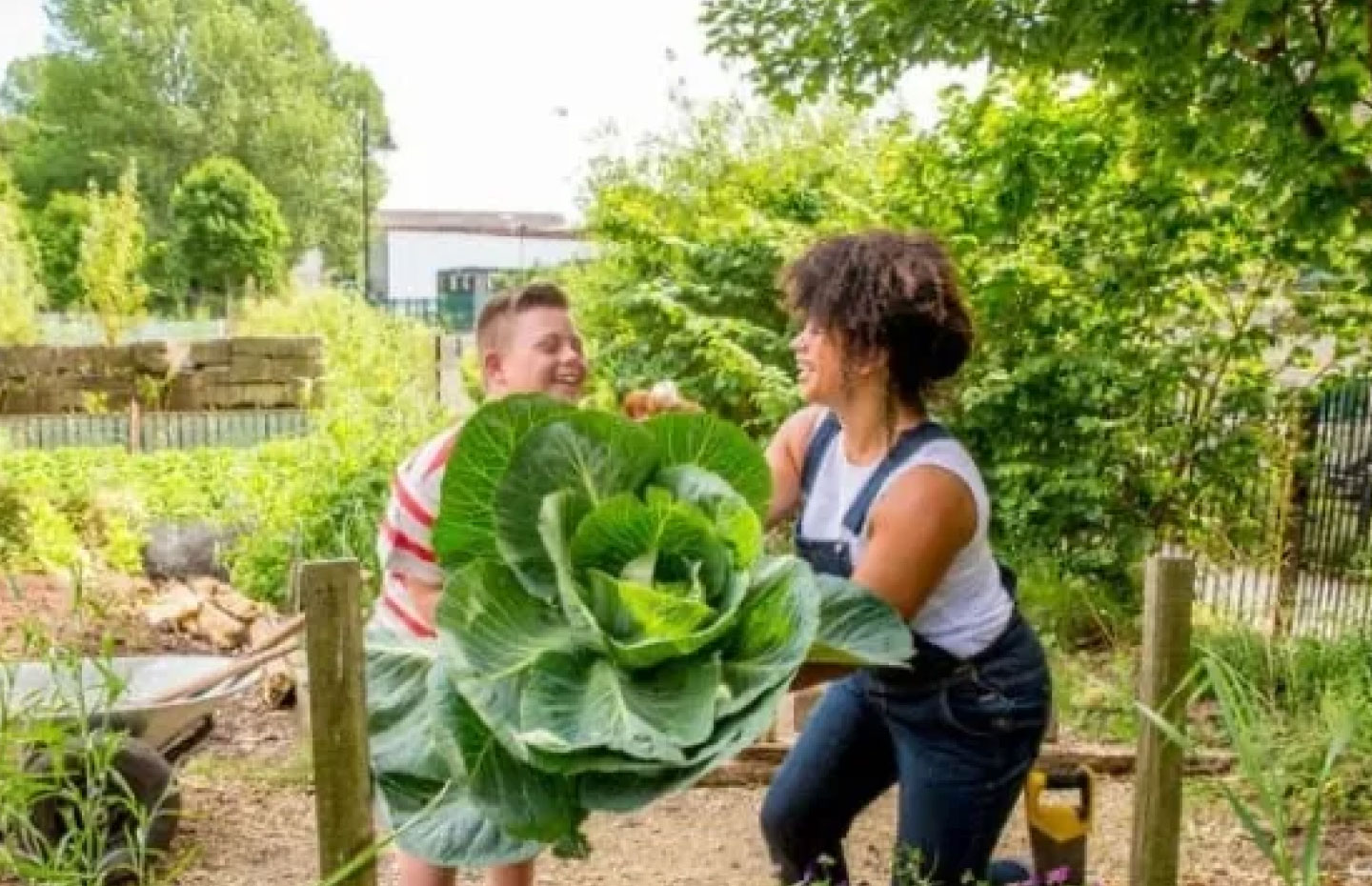 A young man with disabilities and a woman lift a huge cabbage out of a community garden outside